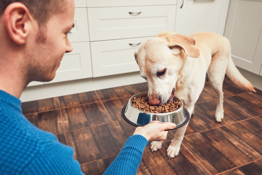 complete-nutrition-plans-for-dogs