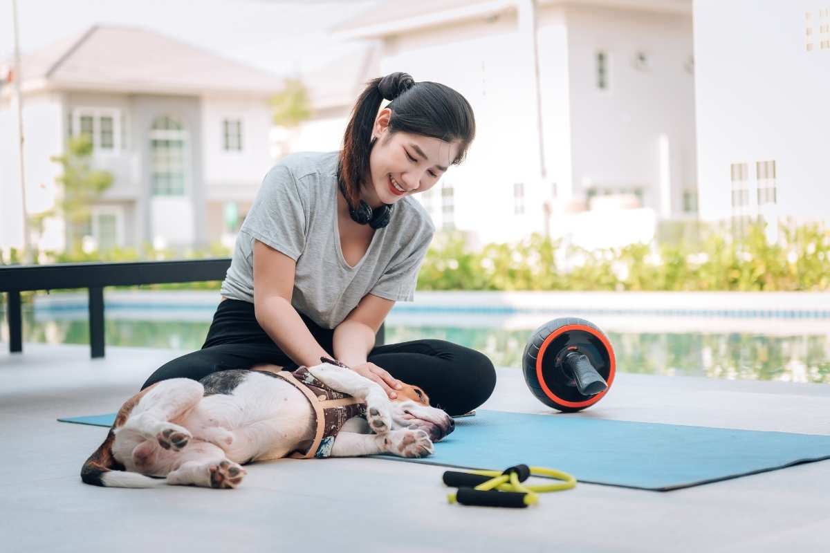 pet-post-surgery-exercises-guide