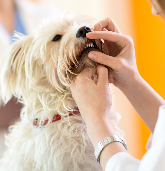 When Advanced Care Becomes Necessary