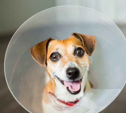 Understanding When Surgery Becomes Necessary