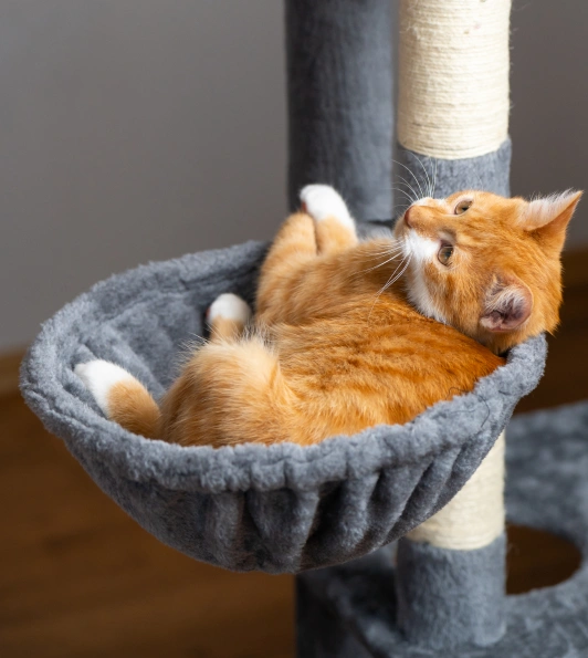 Creating a Safe and Comfortable Home